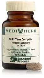 Wild Yam Complex - Image 2