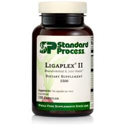 Ligaplex II