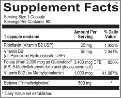 Methyl CpG - Image 2