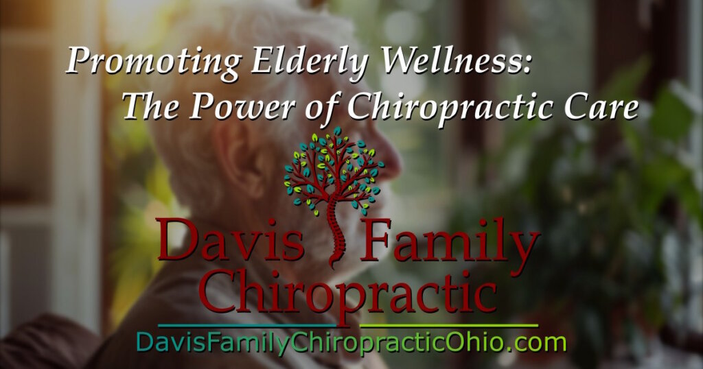 Promoting Elderly Wellness: The Power of Chiropractic Care