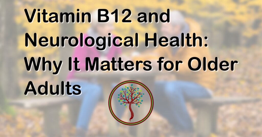 Vitamin B12 and Neurological Health: Why It Matters for Older Adults